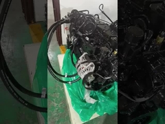 1998 Dodge για Cummins 12 24 βαλβίδα 5.9 Cummins μηχανή ανασυγκρότηση κιτ